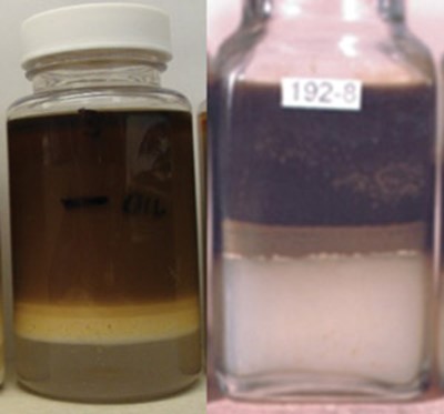 Figura 3. Dos muestras diferentes que exhiben los cuatro estados de agua y aceite. 